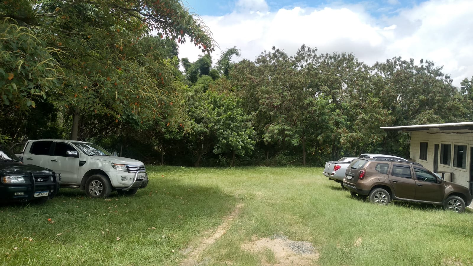 WhatsApp Image 2023-10-17 at 17.12.41.jpeg